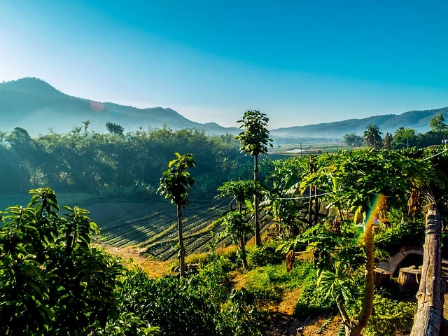 Thailand Travel Guide