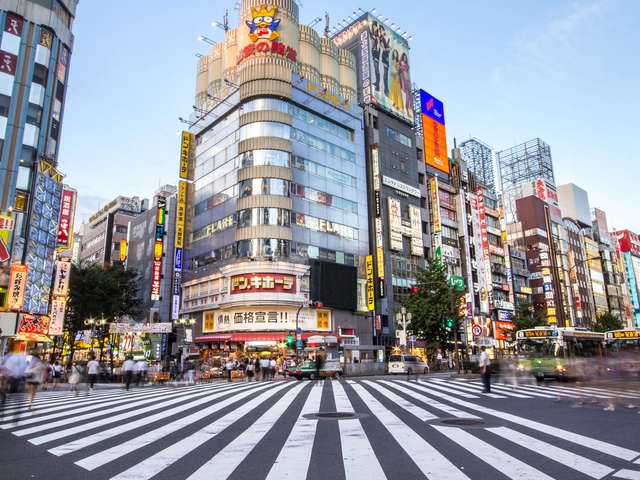 Tokyo Travel Guide