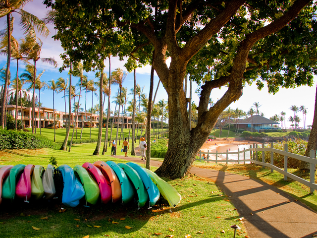 Hawaii Travel Guide