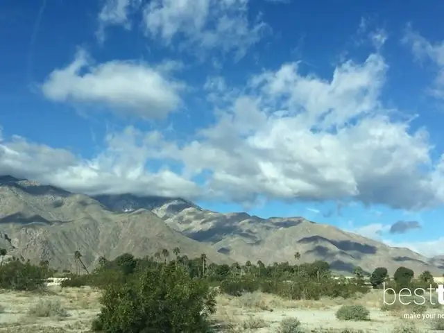 You Can't Miss: California Cool in Palm Springs