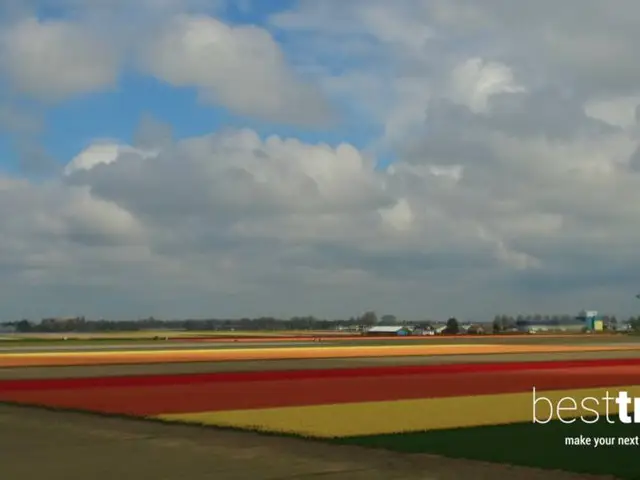 Cruise Review: Tulips and Much More on an Avalon Spring Netherlands River Cruise
