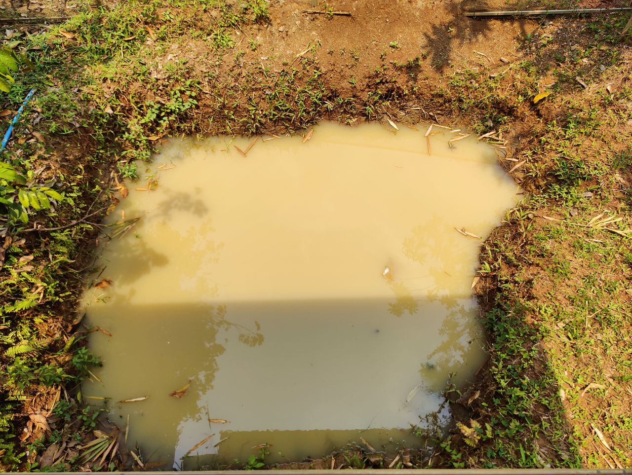 Pit mining from alluvial deposits for sapphires by small scale miners