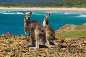 Source: shutterstock.com