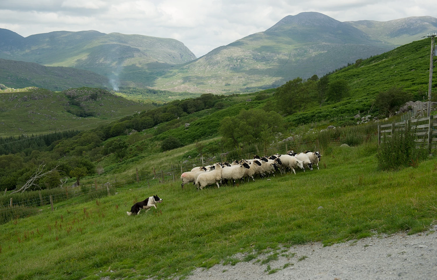 2027 Taste of Ireland (Tour D) - 6 Days/5 Nights