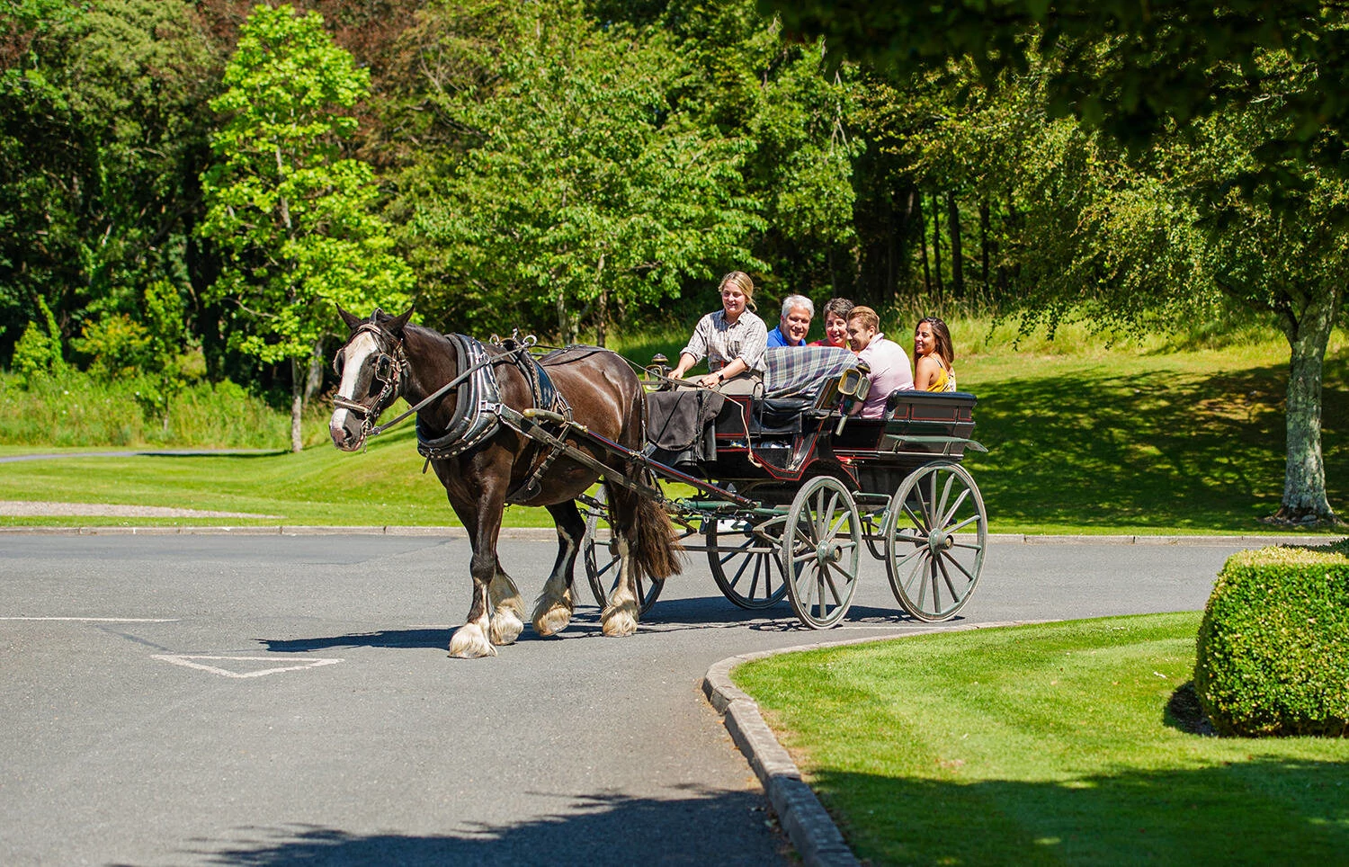 2026 Best of Ireland South (Tour D) - 6 Days/5 Nights